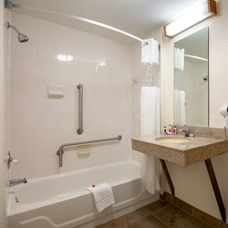 ada-shower
